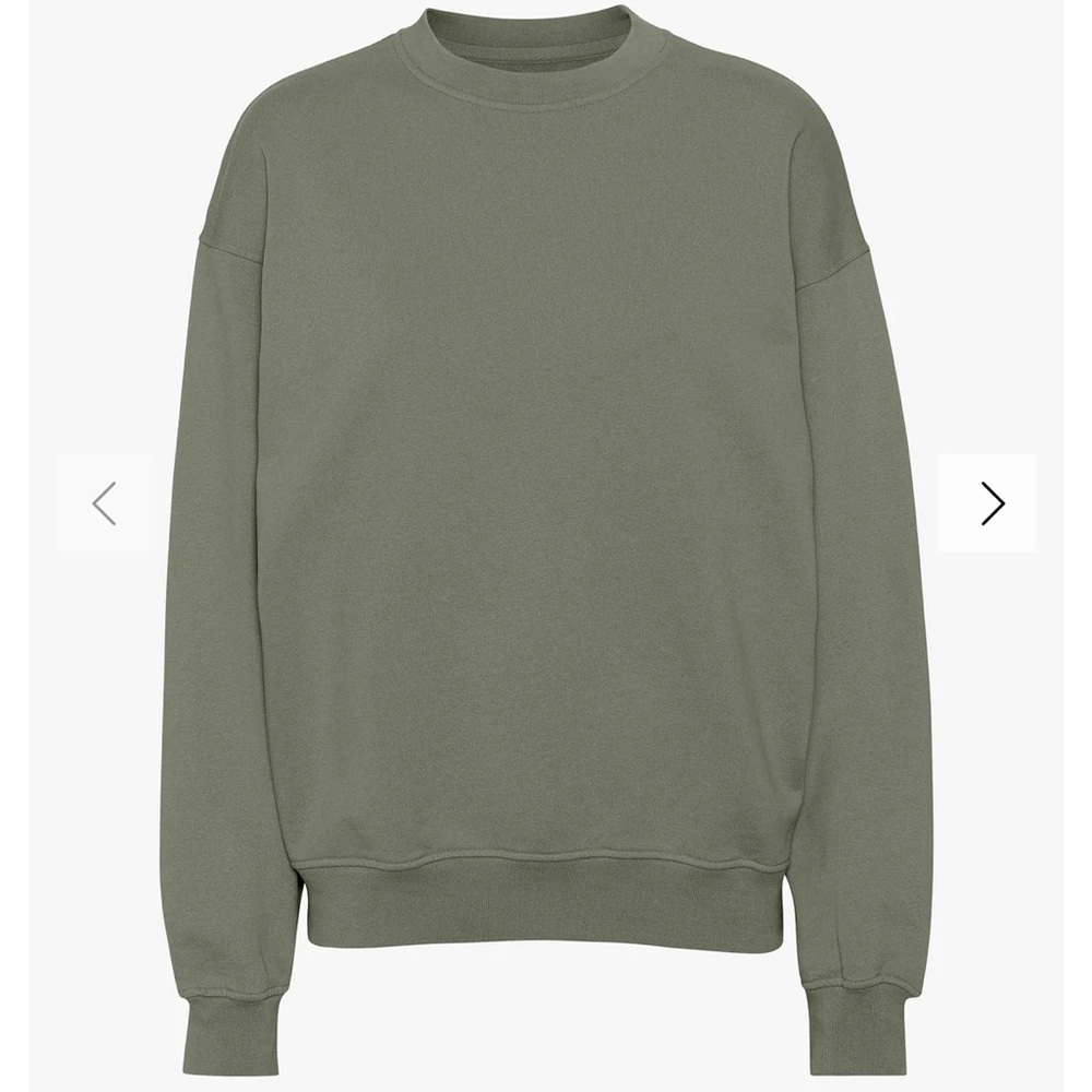 Colorful Standard Oversized Crewneck